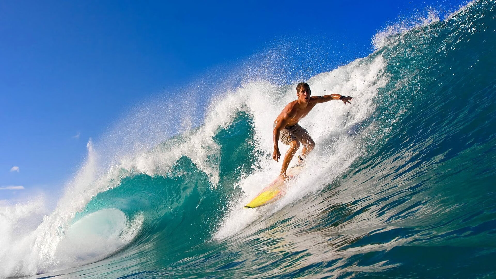 金子豪夺2024武夷山国际公开赛冠军，武夷山赛事